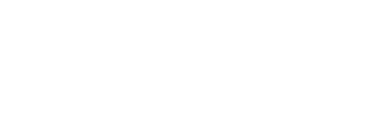 eCommerce Association Georgia